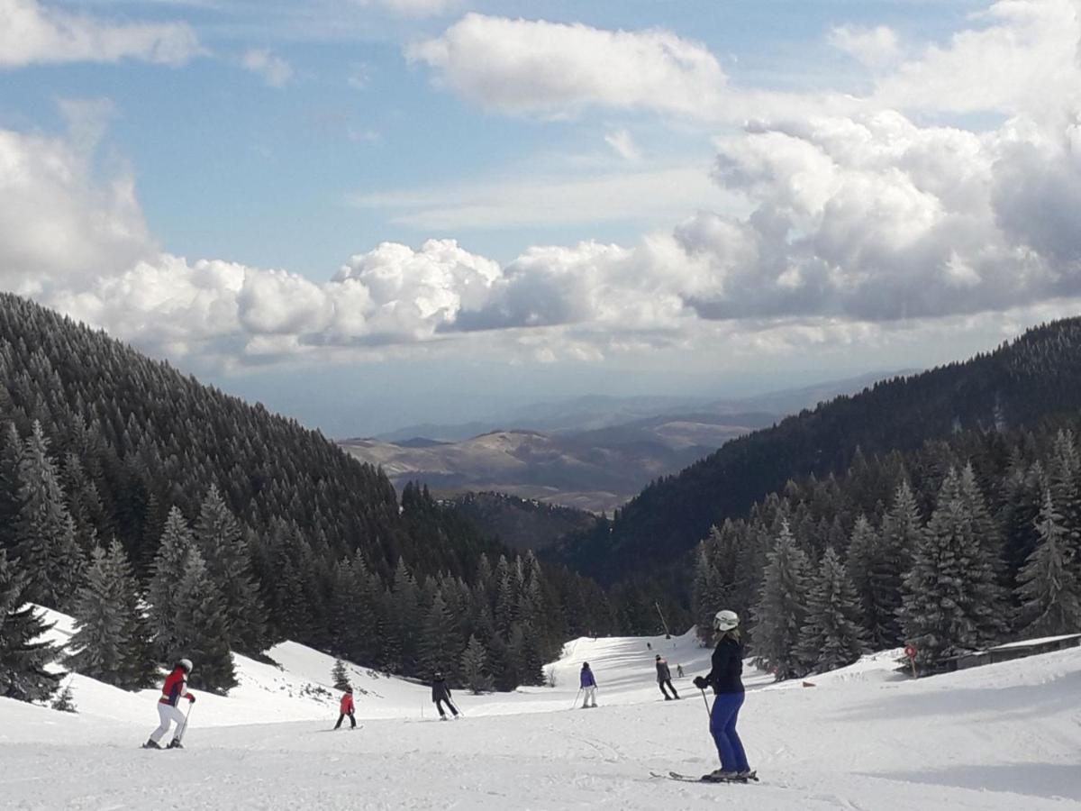 Milmari S30 Apartment Kopaonik Exterior foto
